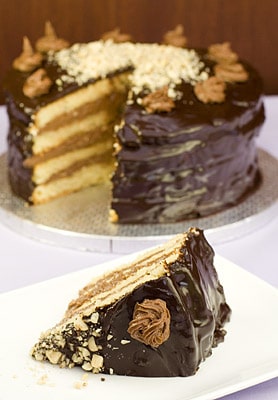 Full slice of a german black forest cake