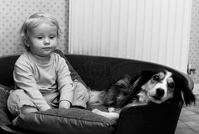 Gabriel in the dog box