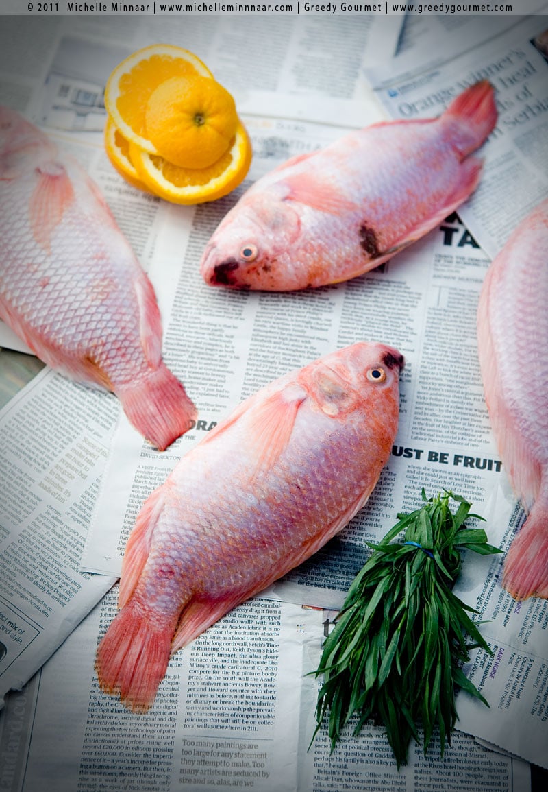 Whole Tilapia Fish