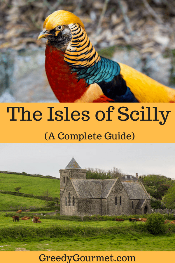 Isles of Scilly Pin 