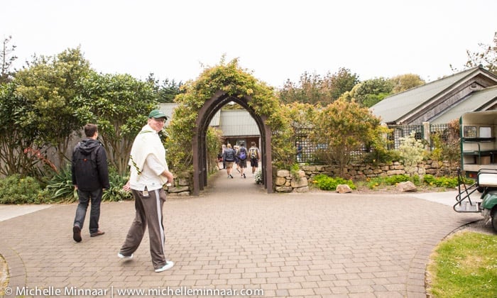 Tresco Abbey Gardens