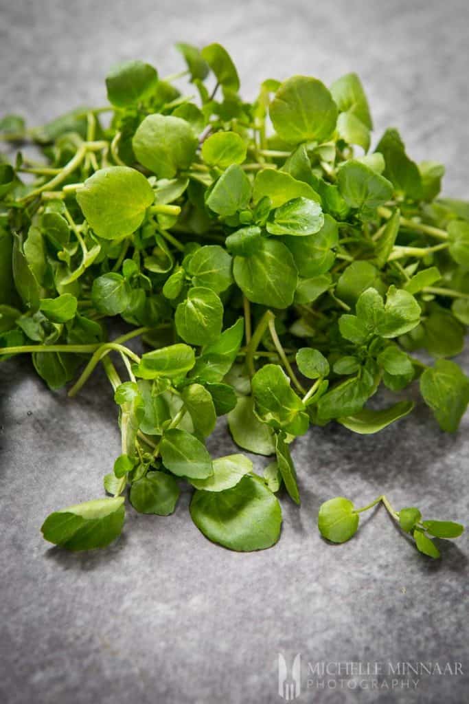 Watercress Raw