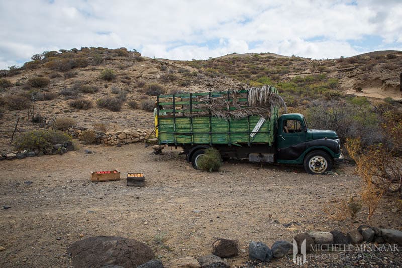 Truck selling fruit