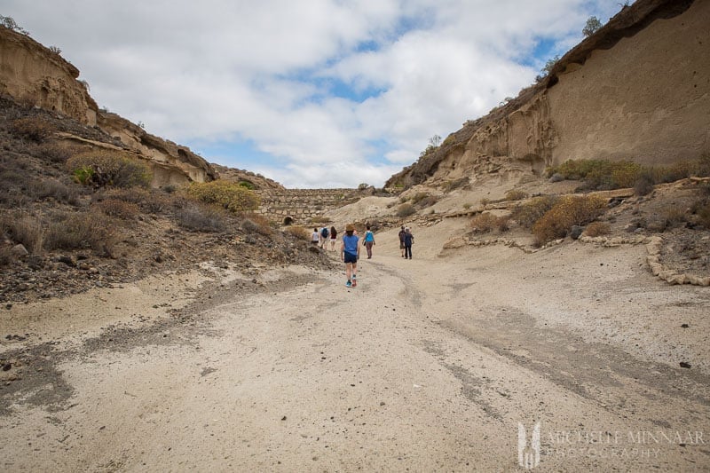 Arid Tenerife