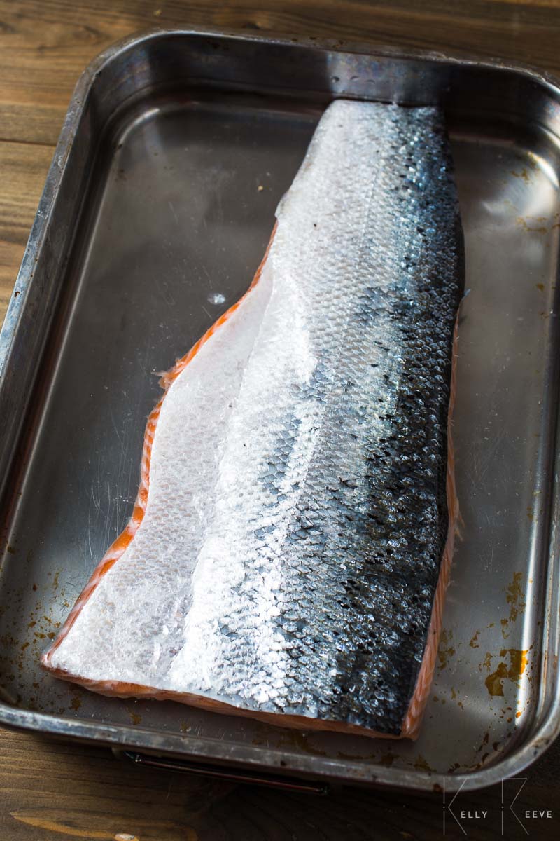 Salmon Brining 