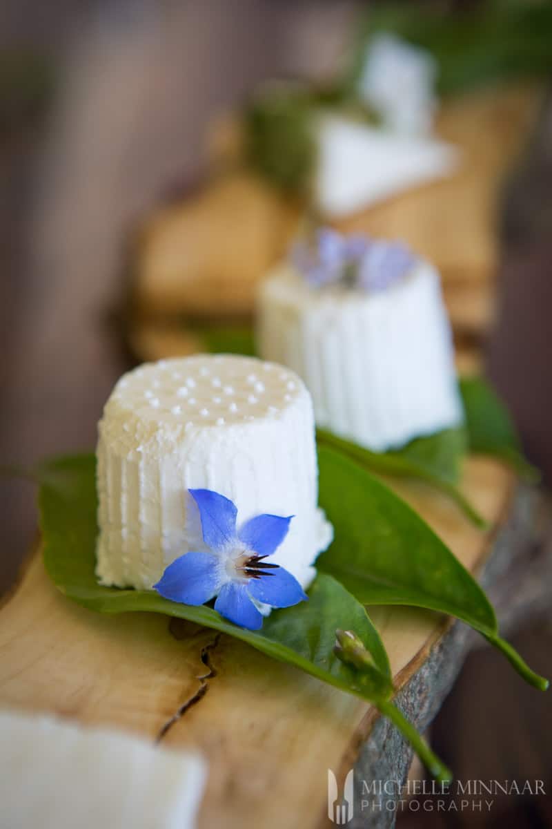 Ricotta Goats Cheese sitting on a sage leaf with a blue flower.