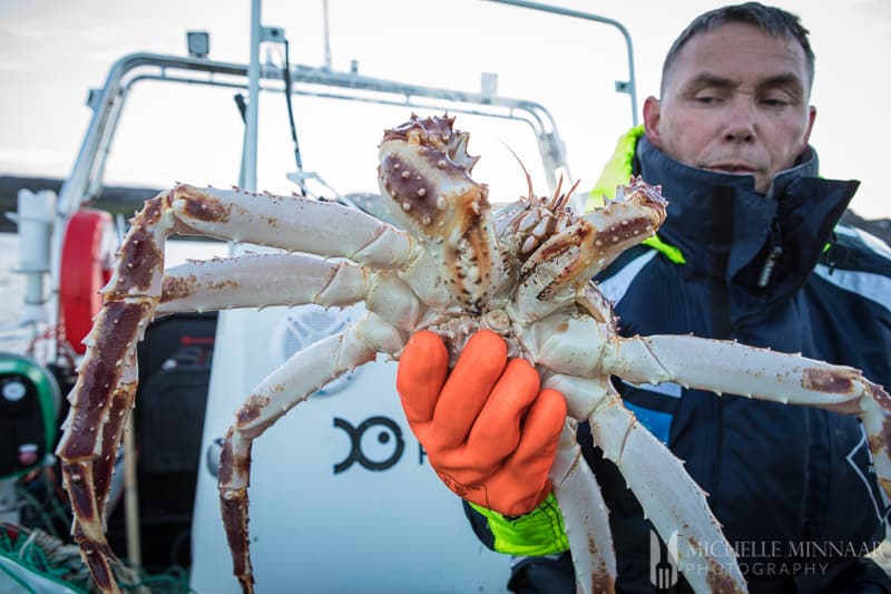 A fisherman holding a Steamed Crab legs