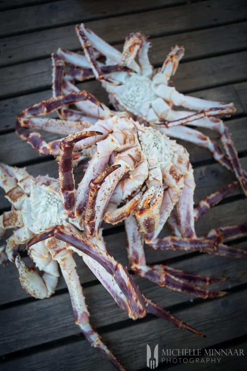 A close up of three Steamed Crab legs