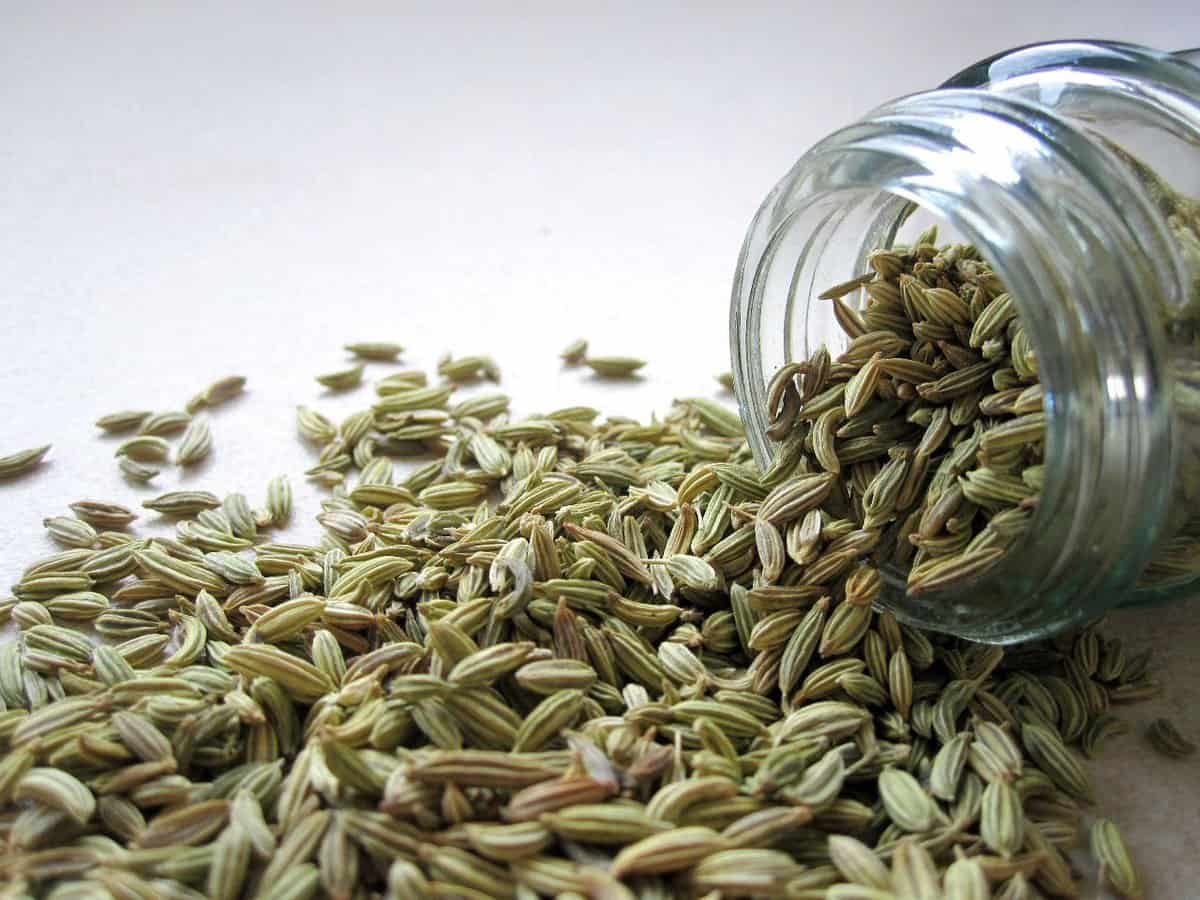 A jar spilling fennel seeds.