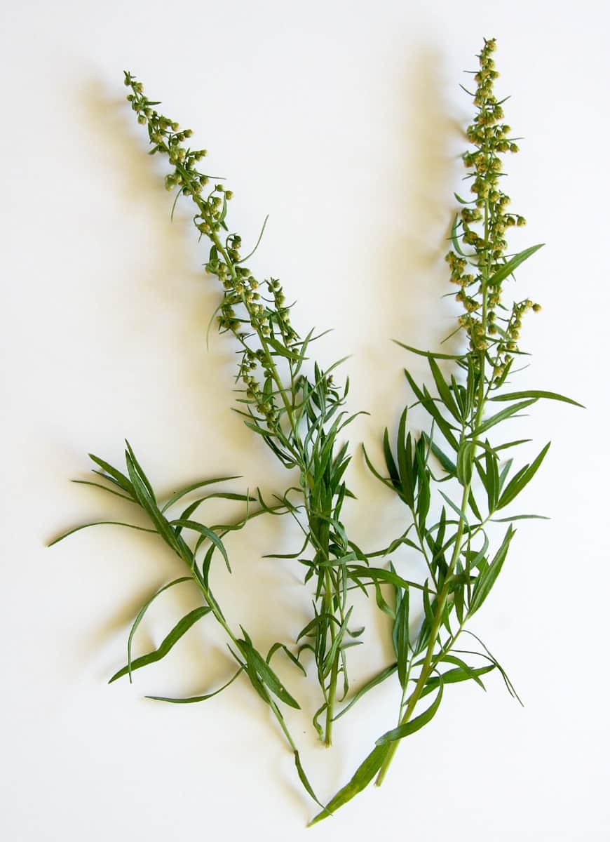 three sprigs of tarragon leaves.