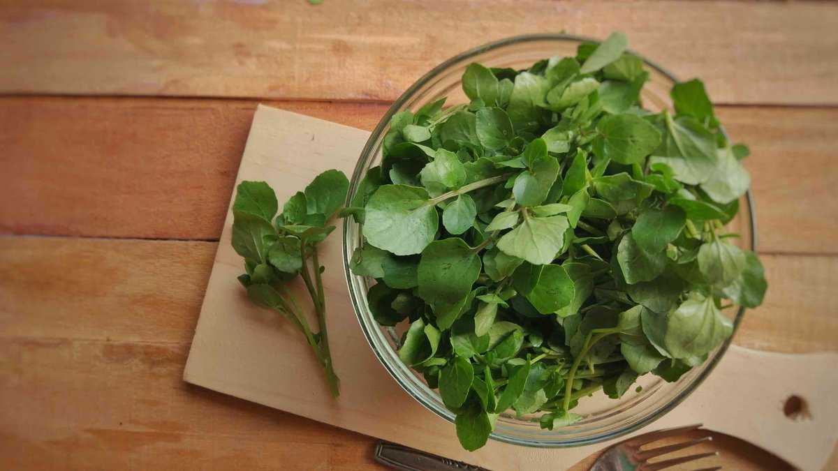 Green watercress.