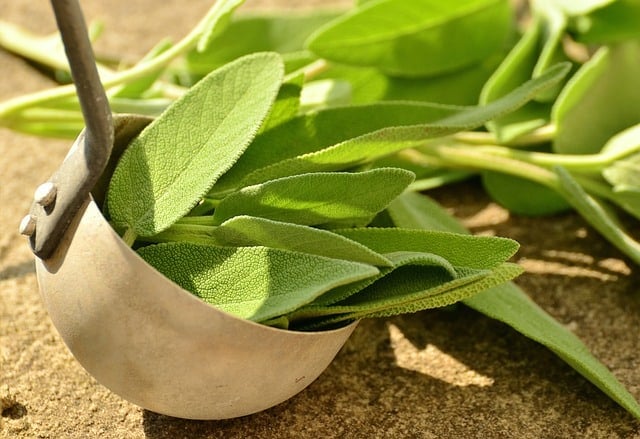 Sage leaves in a bowl