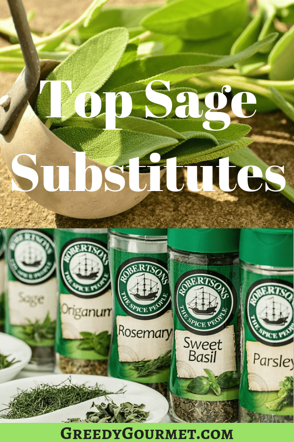 The top Sage Substitutes 