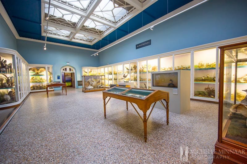 Glass tables of the wildbird collection 