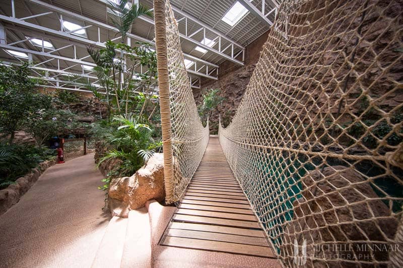 A bridge made out of netting