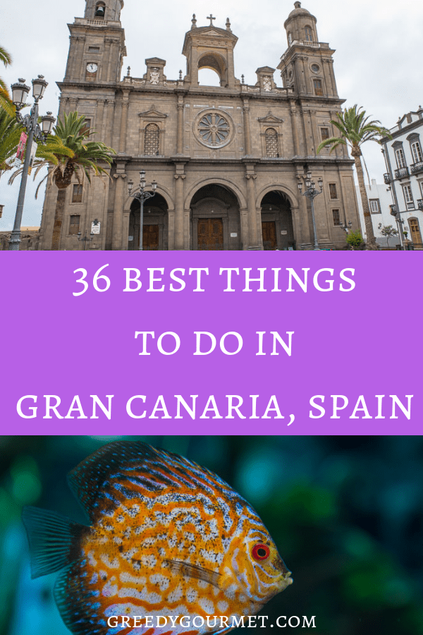 This list of 36 best things to do in Gran Canaria is one of the best guides around if you are planning your trip to the Canary Islands. Explore the island! 