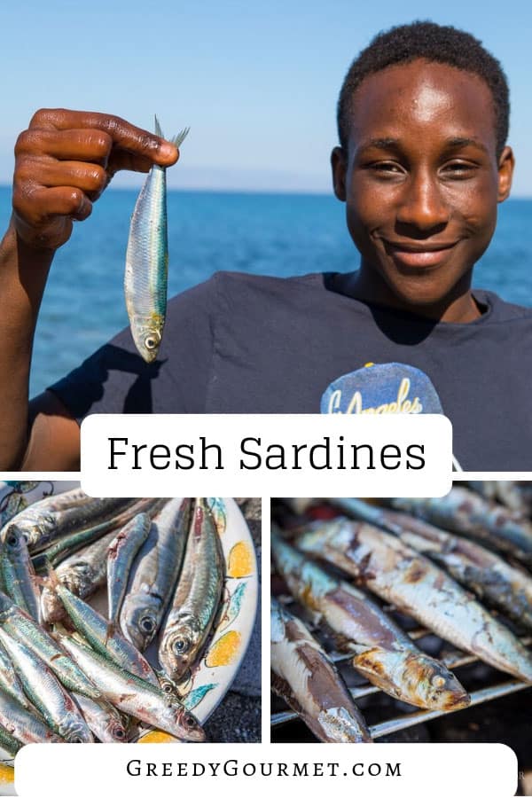 Fresh Sardines