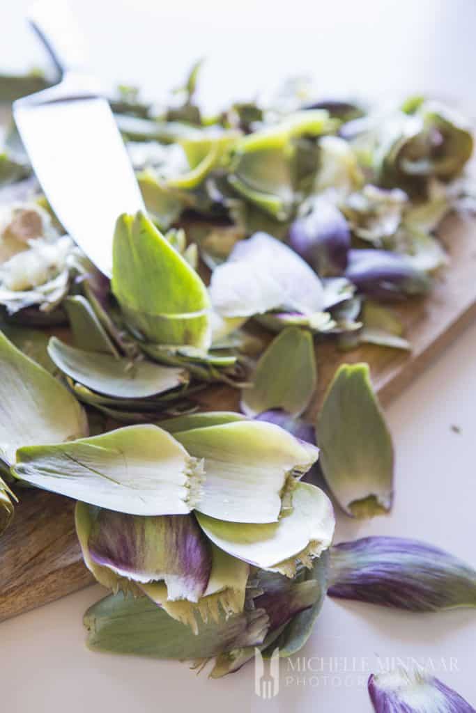 Leaves of an artichoke 