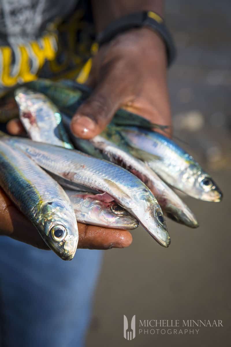 Sardines Cleaned