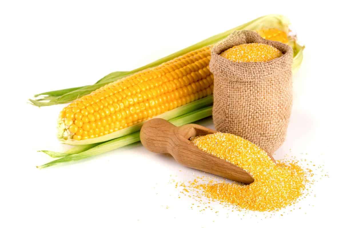 Masa Harina Substitutes - find out about masa harina & all ...