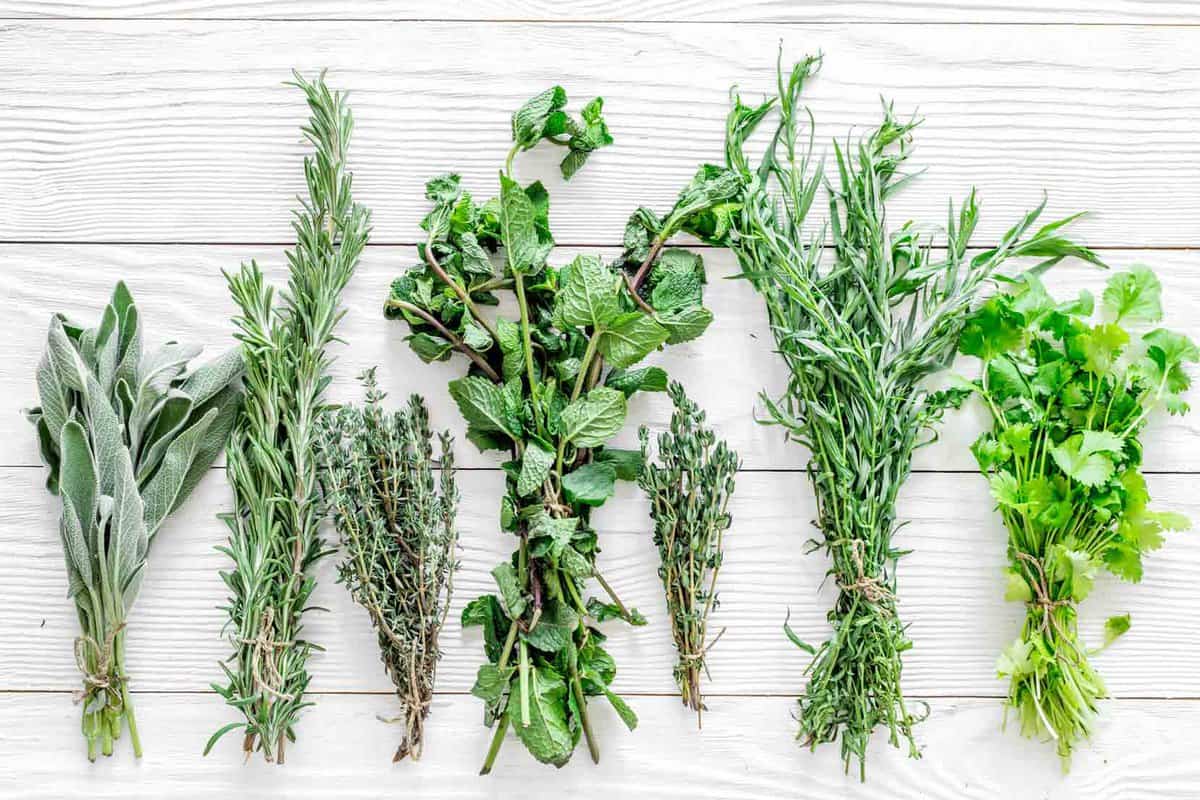Bunches of herbs, learning how to cook with herbs and spices.