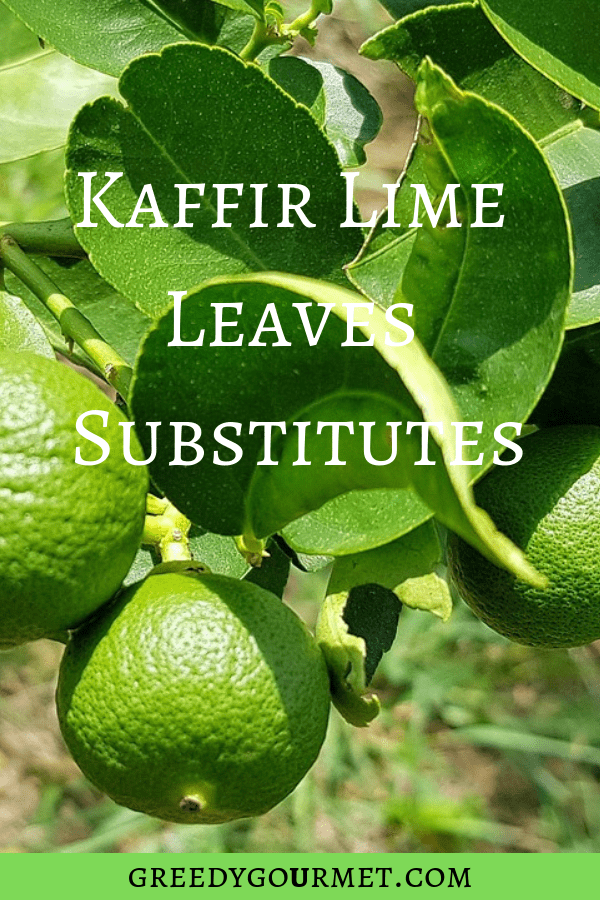 9 Kaffir Lime Leaves Substitutes The Best Substitutes Their Applications,Hognose Snake For Sale