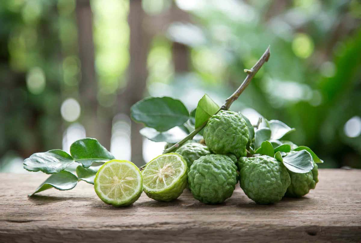 Whole kaffir limes