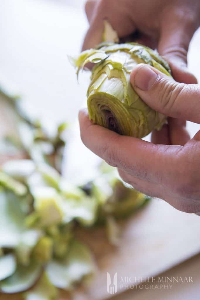 A man peeling an artichoke