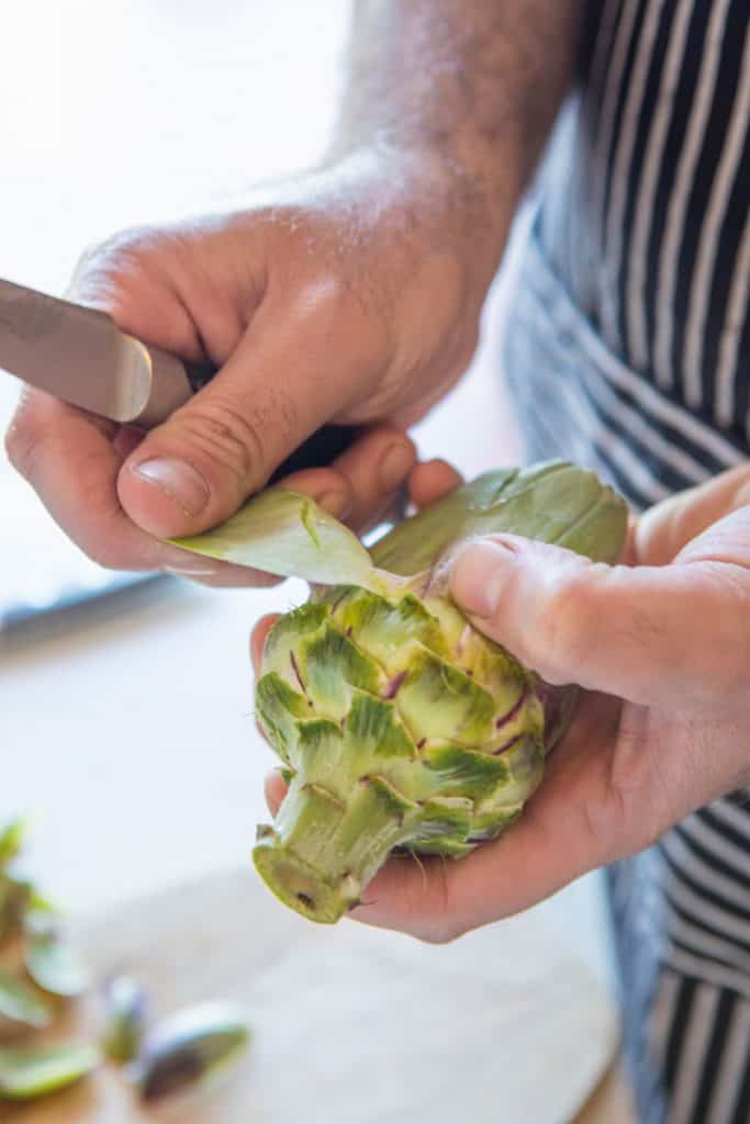 A man peeling an artichoke