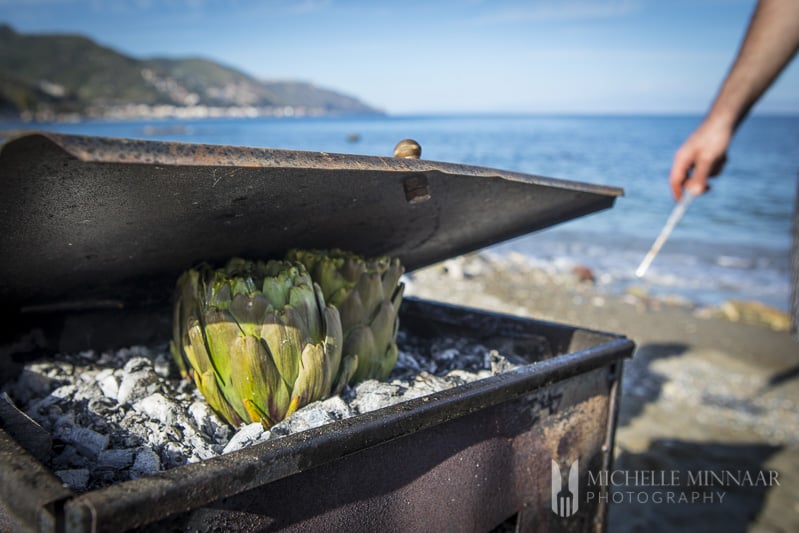 Beach Artichokes 