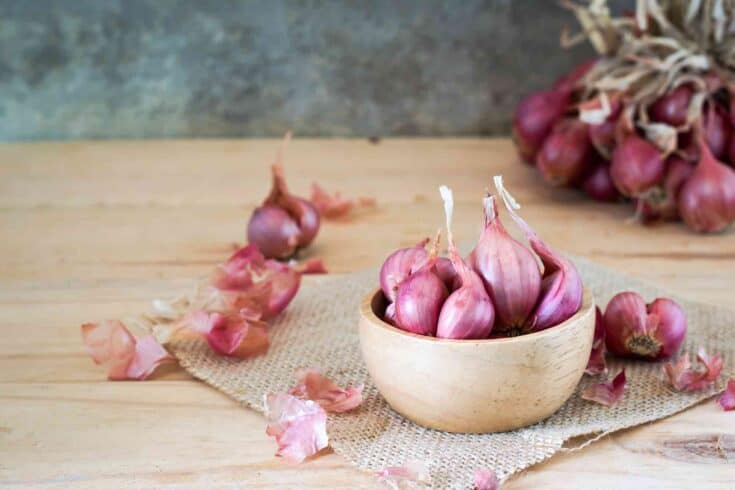 The 10 Best Shallot Substitutes