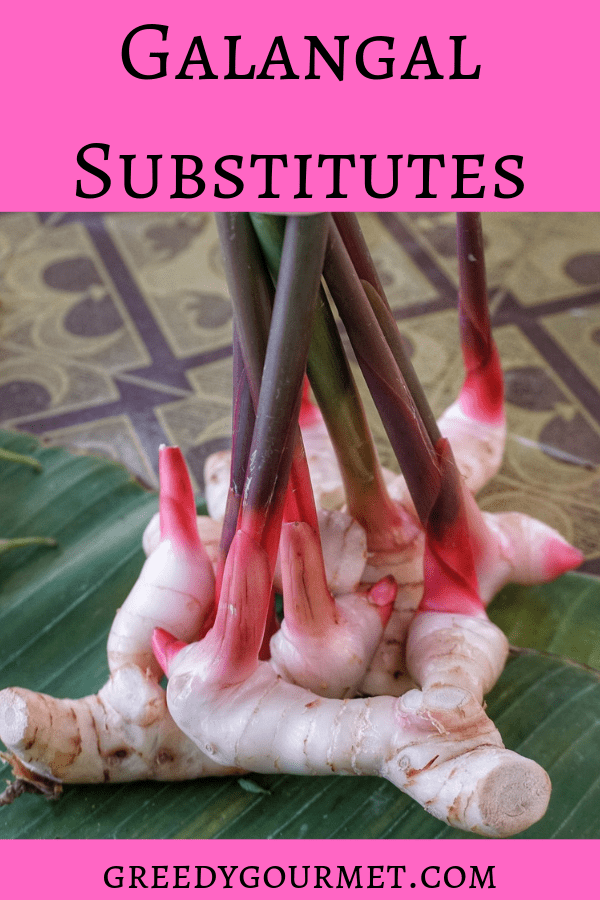 These eight substitutes are the best galangal substitutes out there which will save you tons of research if you are in a situation which requires galangal.