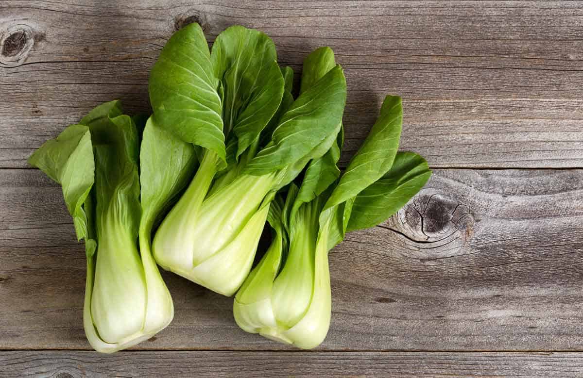 Three bok choy bulbs.