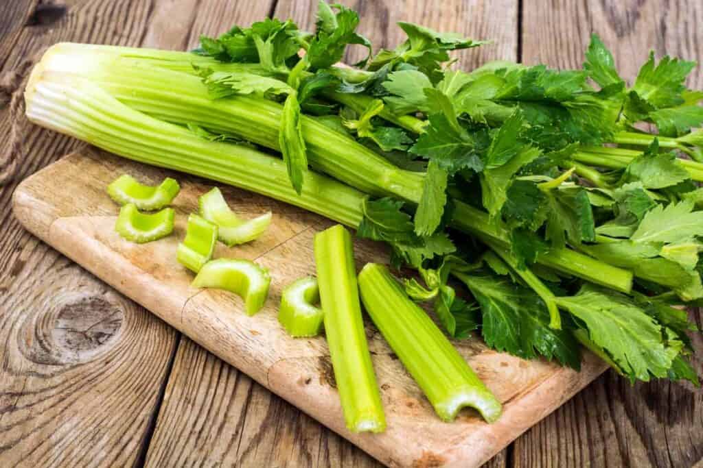 A fresh bunch of celery