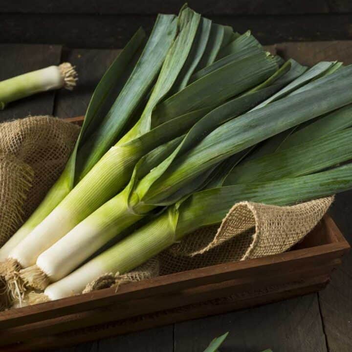 A bunch of green leeks