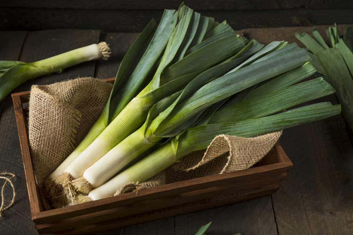 A bunch of green leeks