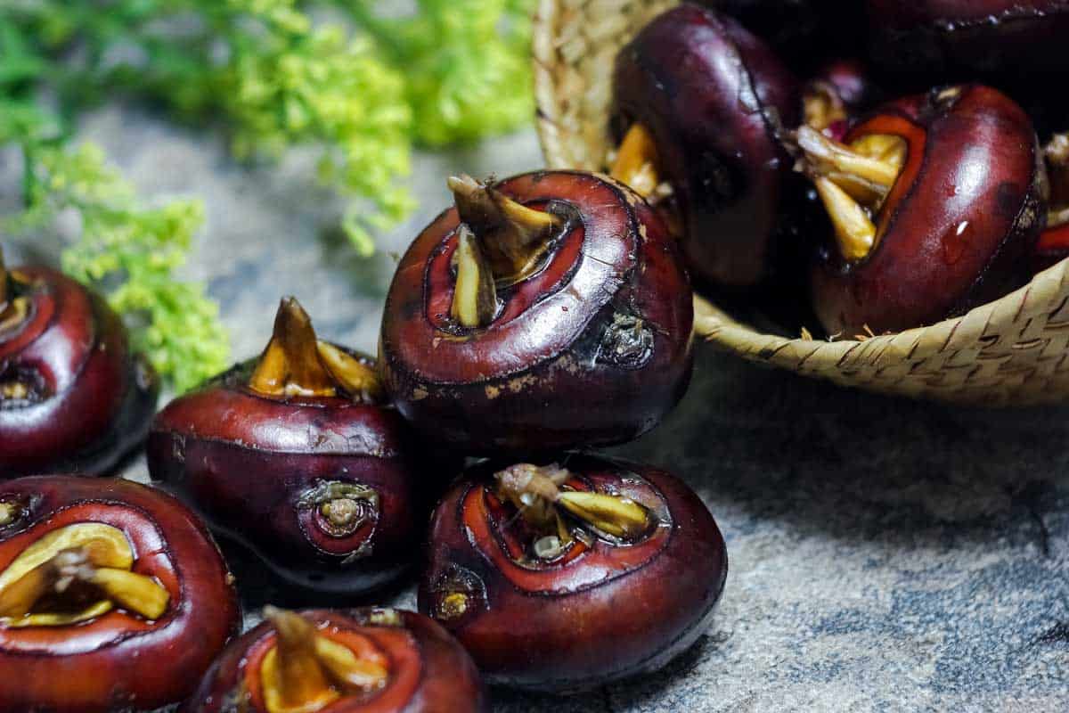 Purple whole water chestnuts