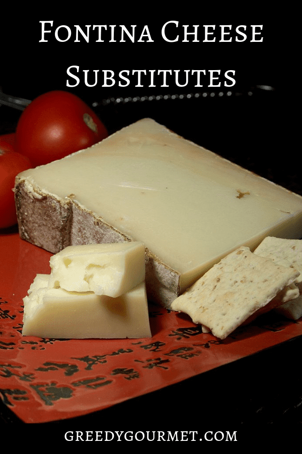 Fontina Cheese Substitutes