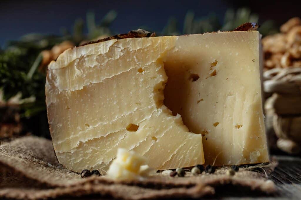 14 Fontina Cheese Substitutes Here Are The Top Fontina Substitutes