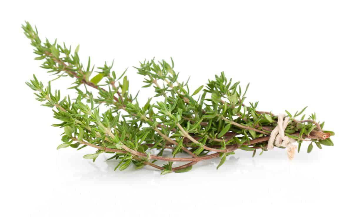 Fresh thyme leaves