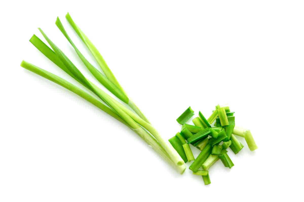 One bunch of chives with a white background 