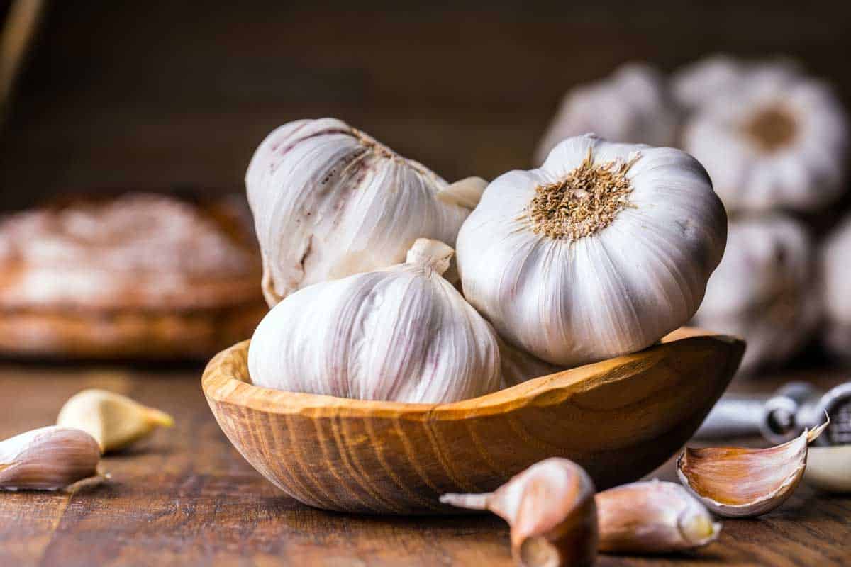 White large garlic bulbs to use as a chive substitute