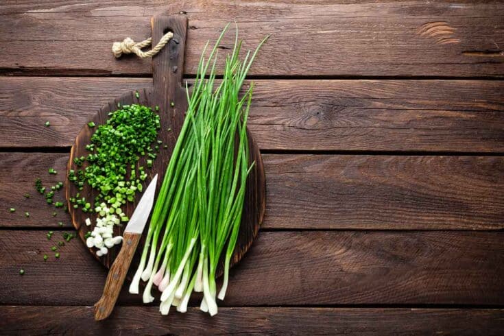 The 5 Best Substitutes for Chives - The Spice House