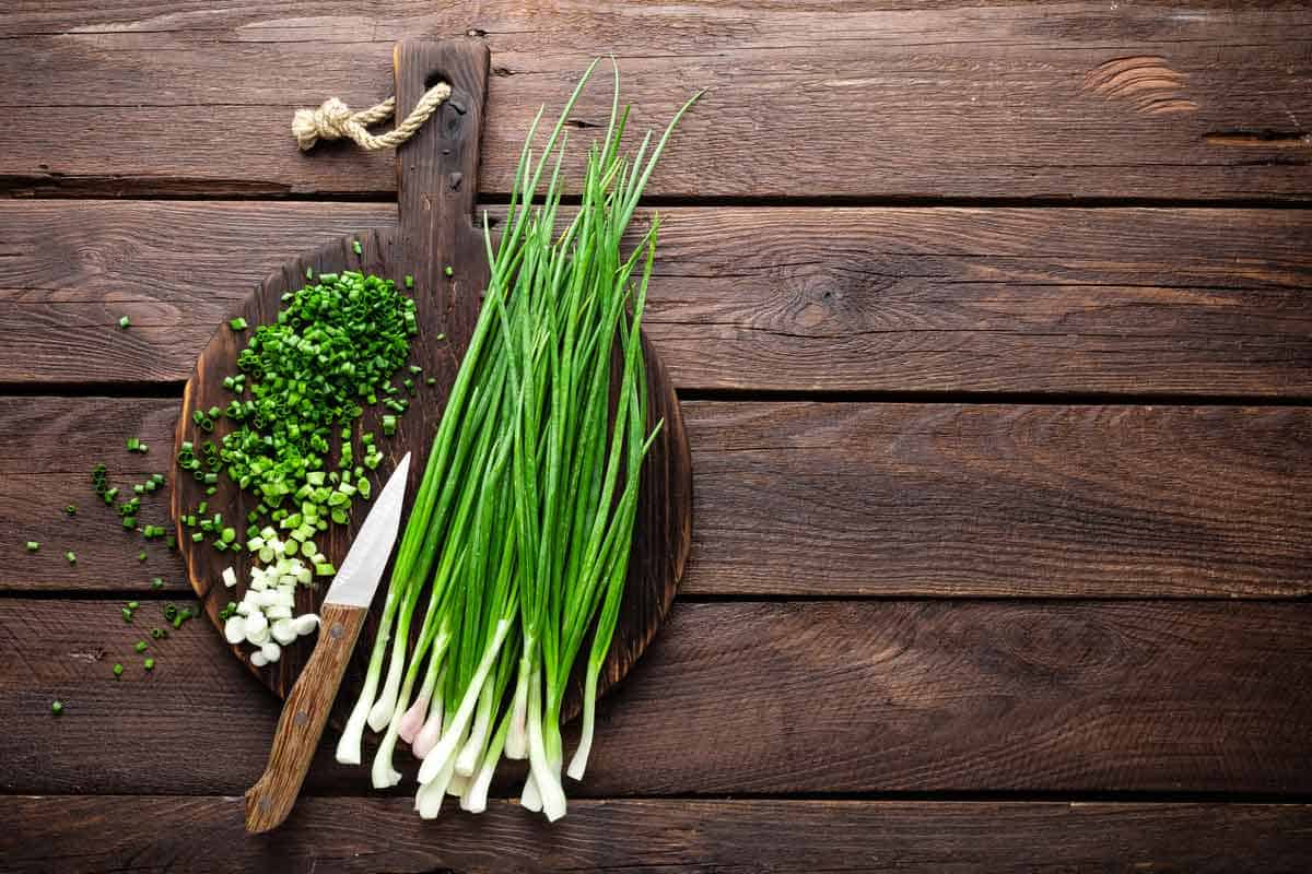 A green bunch of scallions