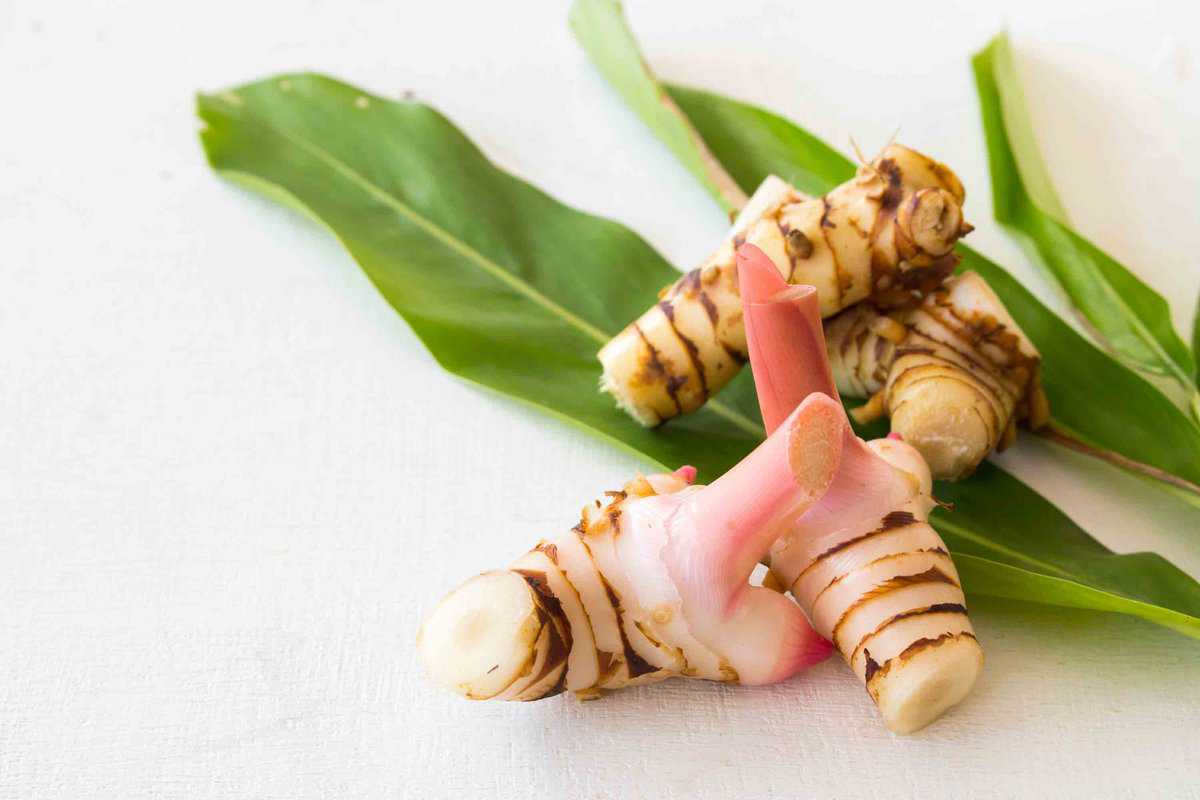 Fresh galangal 