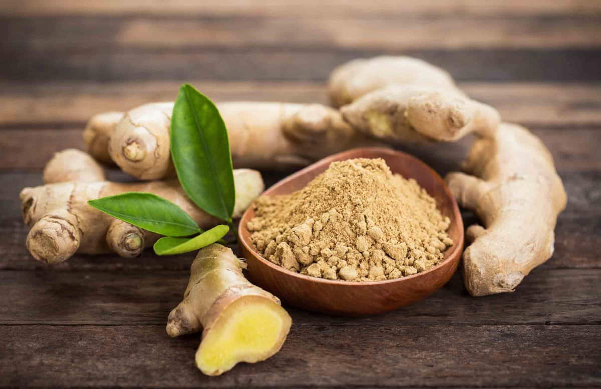 Dried ginger powder to use as a galangal powder substitute
