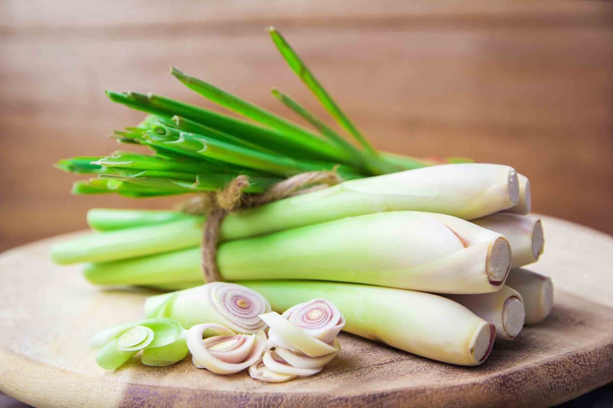 Whole green and white lemongrass