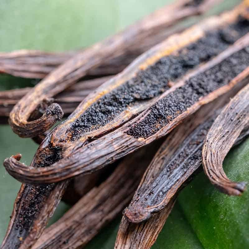 Raw vanilla beans 