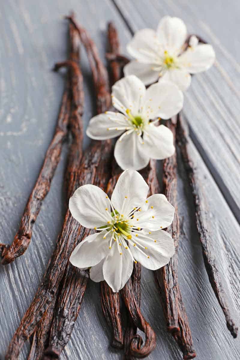Vanilla Bean pods and white flowers