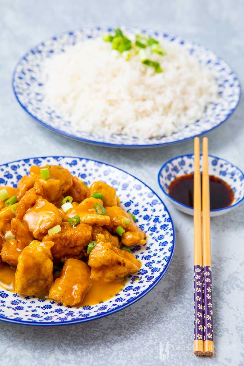 Close up of sauteed chicken and rice